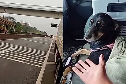 Moço, te amo: Caminhoneiro para caminhão em rodovia para resgatar mocinha deixada para um triste fim