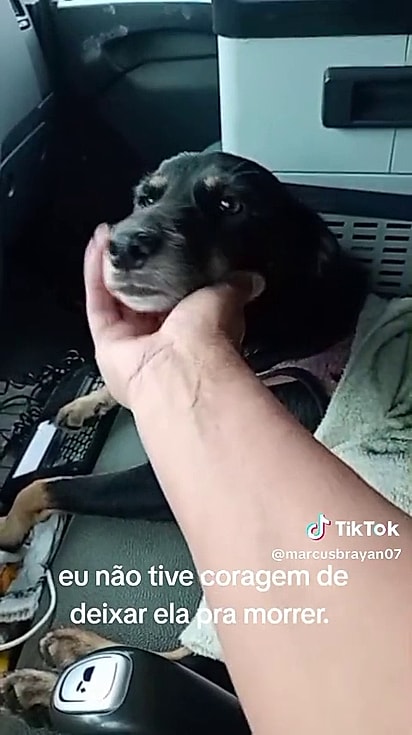 Marcus não teve coragem de fechar os olhos para o abandono.