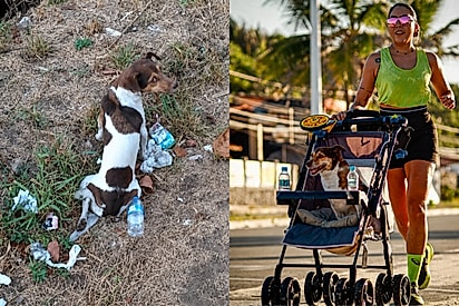 “Um dia nós vamos correr juntas”: mulher cumpre promessa feita a cachorrinha resgatada do lixo.