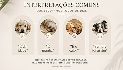 As interpretações que mais atrasam um diagnóstico precoce. Essas frases fazem parte da rotina de muitos tutores e, isoladamente, podem até parecer plausíveis. O problema surge quando elas impedem que um padrão seja percebido.