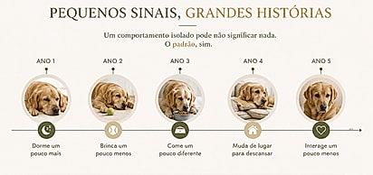 Um único episódio pode não significar nada. O padrão, sim. Na prática clínica, dificilmente uma doença começa de forma abrupta. O mais comum é que pequenas alterações apareçam em momentos diferentes, formando uma sequência que revela o comportamento do organismo ao longo do tempo.