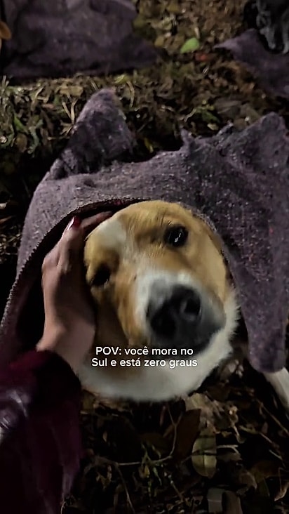 Betino precisou voltar para casa buscar mais cobertores.