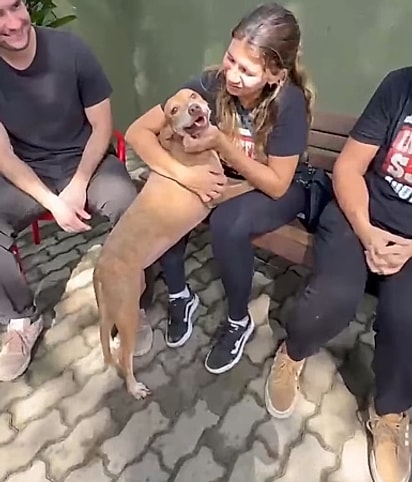 Caramelo escolhendo sua tutora. 