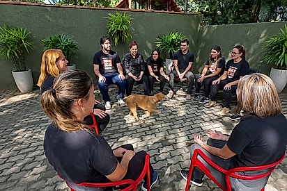 ONG deixa cão caramelo escolher nova família em roda de interessados, e resposta vem em forma de abraço