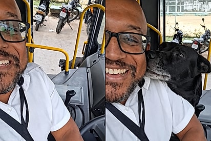 Motorista explode de felicidade ao ver seu grande amor entrando no ônibus.