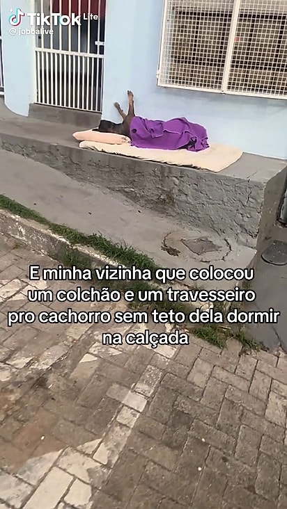 A cena chamou a atenção de Jobba.