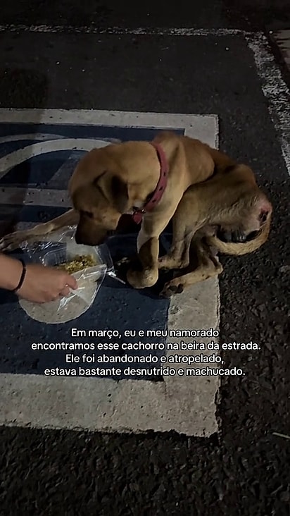 O casal não pensou duas vezes antes de resgatá-lo.
