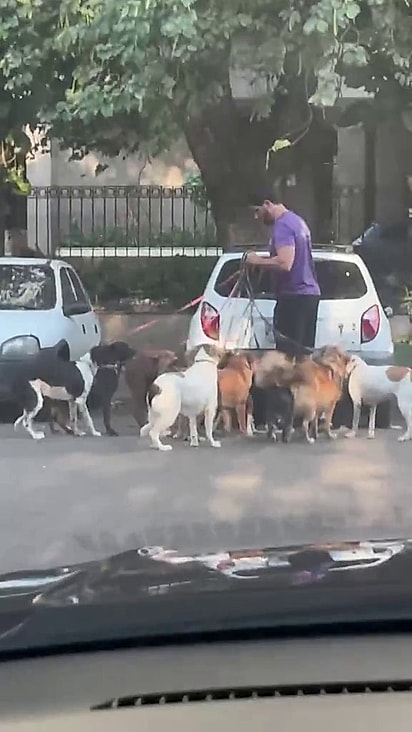 O adestrador uruguaio sempre chama atenção nos passeios.