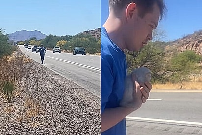 O casal encontrou uma gatinha na estrada.