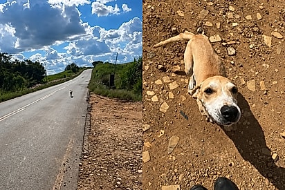 Vem aqui filho: Homem foi realizar uma entrega e acaba encontrando uma missão no meio da estrada.
