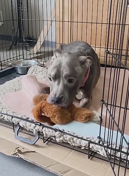 Luna foi descrita como a garotinha mais doce e carinhosa.