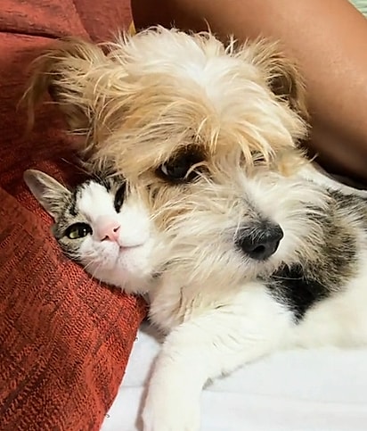Ocho e Anita.