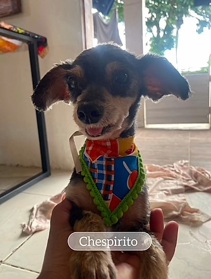 Hoje, Chespirito tem cuidado, carinho e uma família para chamar de sua.