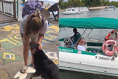 “Ela sabia que era adeus”: Turista chora ao se despedir de cadelinha que a acompanhou durante viagem
