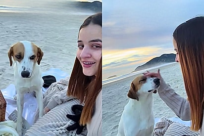 Após momento de desabafo, aniversariante é surpreendida pela companhia inusitada de um cão comunitário
