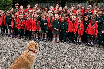 Crianças se reúnem para cantar parabéns para cachorrinha que trabalha na escola e cena viraliza