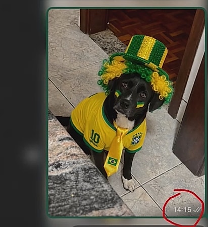 Horas antes, Kelvin havia brincado, enviando uma montagem do cachorro caracterizado. 