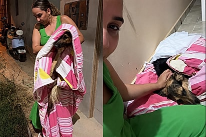Veterinária encontra cachorrinha doente abandonada na porta de casa e faz promessa emocionante.
