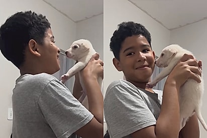 Mãe pede para filho ir no mercado e menino volta para casa acompanhado de um doguinho lindo