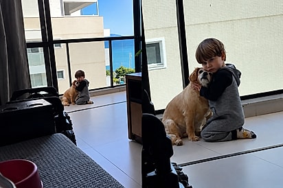 “Ele tem todo cuidado com a nossa velhinha”: bebê abraça cachorrinha idosa e emociona a mãe.