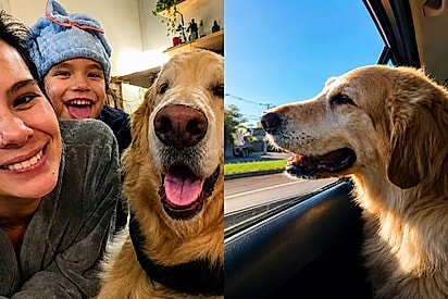 “A vida não é feita só de tratamento”: família leva golden para sua última grande aventura