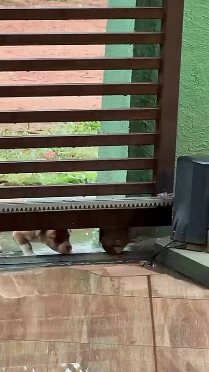 Ela estava na chuva procurando abrigo.