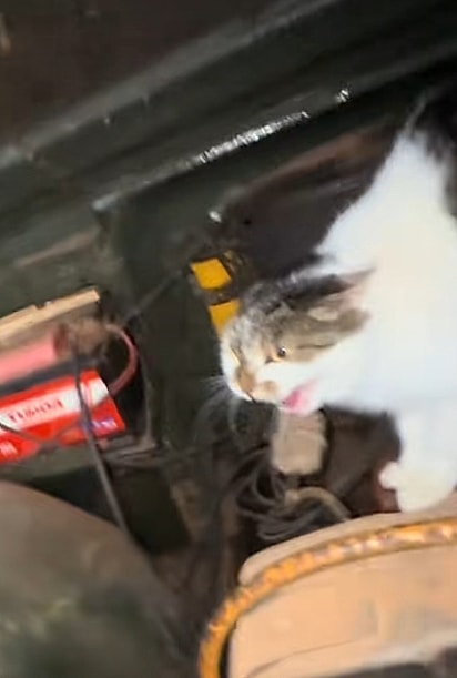Mia não ficou feliz em ser descoberta. 