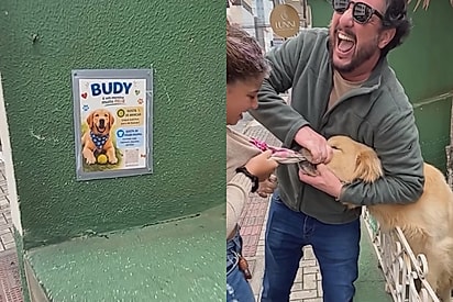 Se tem placa tem história: Menina ignora placa com aviso sobre o que golden retriever é capaz de fazer e acaba sendo ‘vítima’