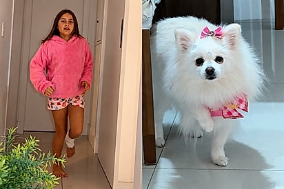 “Atenção é só dela?”: cachorrinha vê menina mancando e decide imitar a irmã humana.