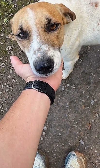 Júnior encontrou o cachorrinho durante um treino de corrida em uma área afastada.