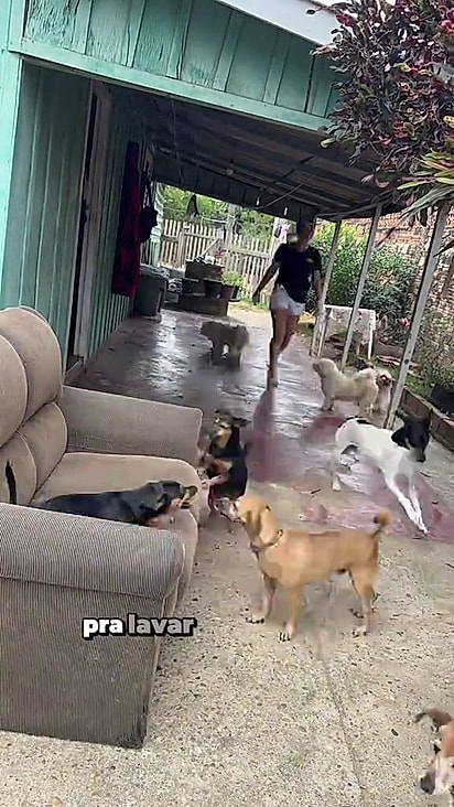 Anita segue a mesma rotina todos os dias.