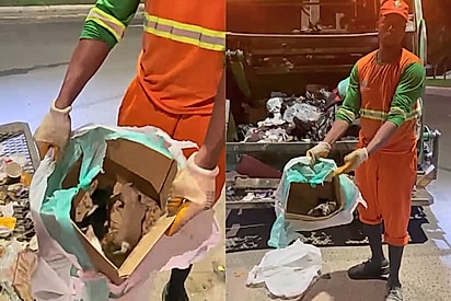 ‘Falta de amor’: gari compartilha sua indignação após encontrar uma caixa abandonada com 3 vidas dentro