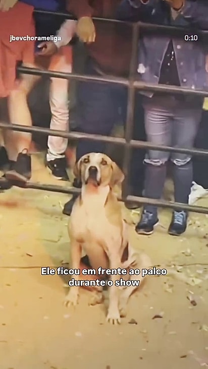 Jeová assistiu o show completo da dupla.