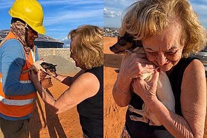 “Ela tremia de felicidade”: Cachorrinha desaparecida reencontra família após dias de buscas.