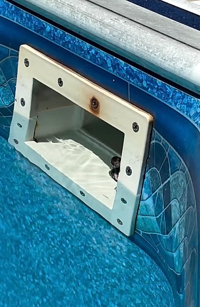 Pequeno roedor ficou agarrado ao filtro da piscina até ser encontrado por uma família que decidiu ajudar.