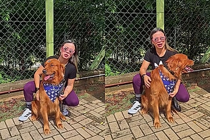 Tutora rebate comentários negativos à pelagem diferente de seu golden ruivo: “Essa cor é linda”