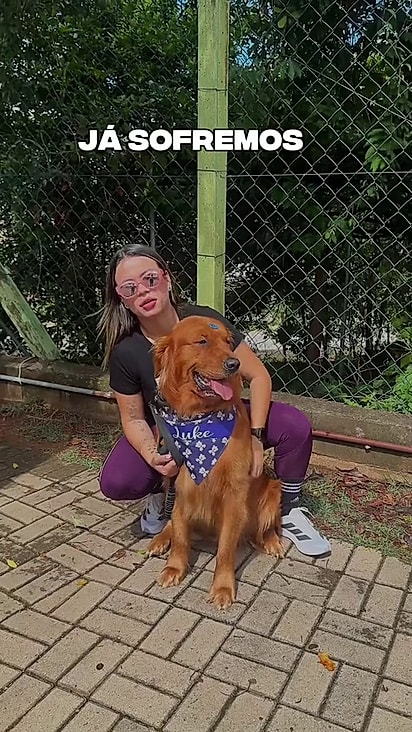 A pelagem do cão foi mudando gradualmente.