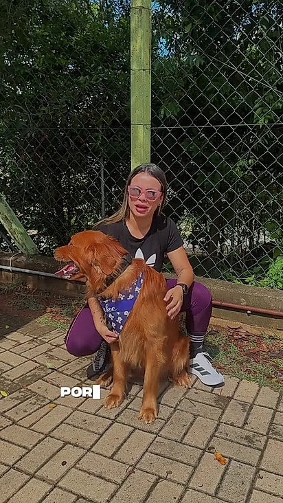 A tutora sempre defende o pet.