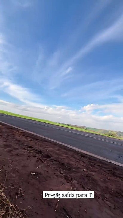 A protetora dirigia quando viu a filhotinha no meio da estrada.