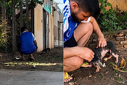 Achando que seu destino seria comer lixo por causa da sua aparência, cachorrinha muda de vida ao encontrar casal de coração generoso.