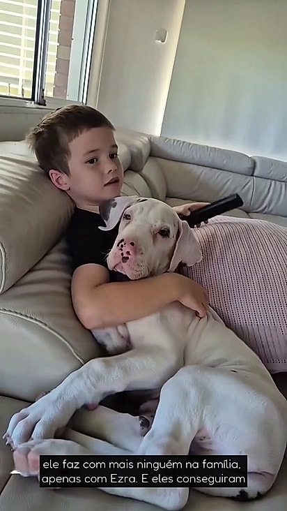 Ezra não precisa falar para ser compreendido pelo cão.