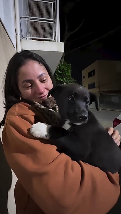 Mônica se apegou aos cães.