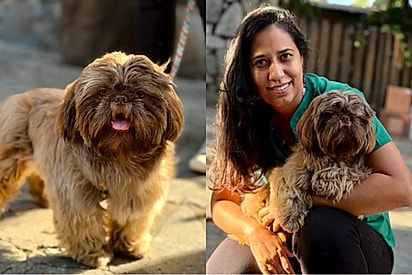 Veterinária se recusa a eutanasiar filhote com má-formação e acaba adotando-o: “A gente se apaixona”.