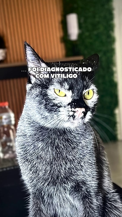 A tutora percebeu a mudança começando pela tonalidade do nariz.