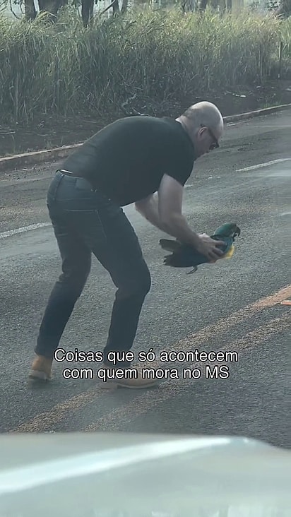 O homem retirou a ave do meio da pista.