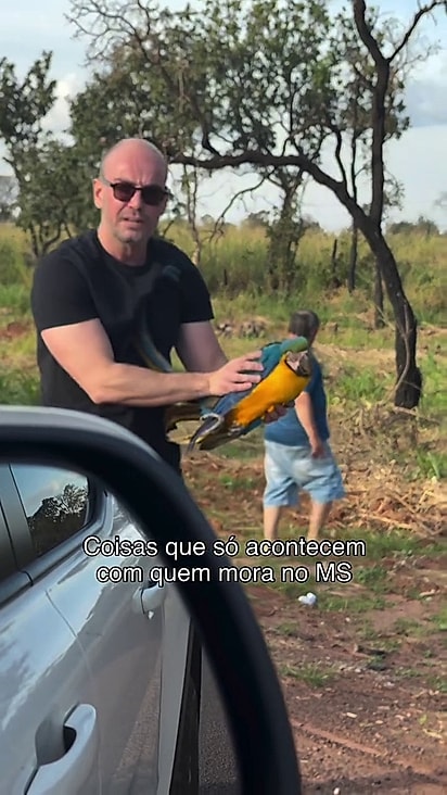 Gaby sugeriu que levassem a arara para um centro especializado.