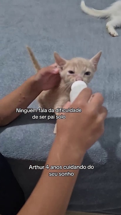 O gatinho estava em posição ideal para ser alimentado.