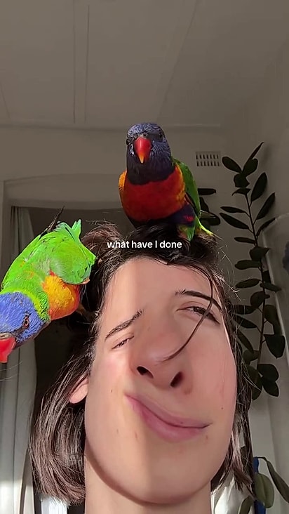 Dois pássaros pousaram da cabeça da mulher.