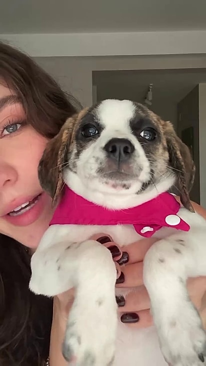 Hannah foi a última dos irmãos a encontrar um lar.