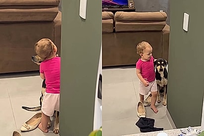 “Meu primeiro filho com a minha primeira filha”: cumplicidade entre primeiro pet da família e bebê de um ano viraliza
